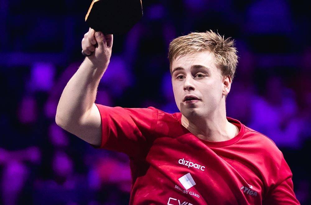 不偏袒任何 不偏袒任何